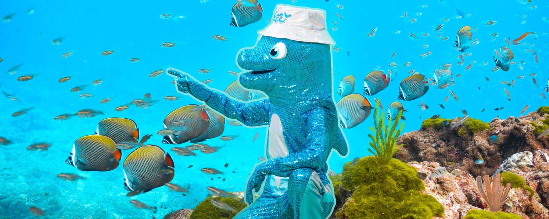 Dizzy Disco „Aqua Party“