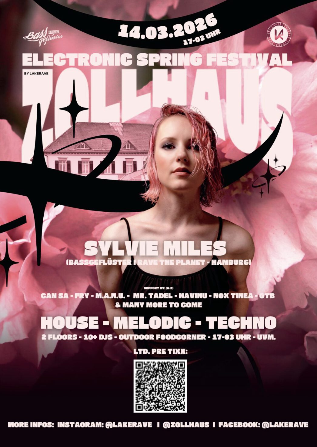 Electronic Spring Festival