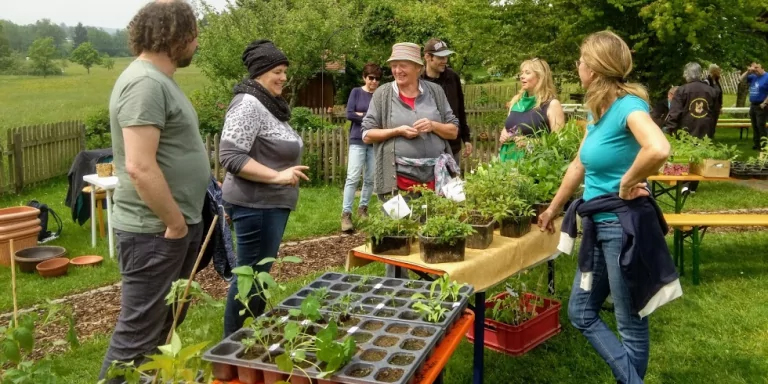 Frühlingsmarkt im Kreislehrgarten Lindenberg