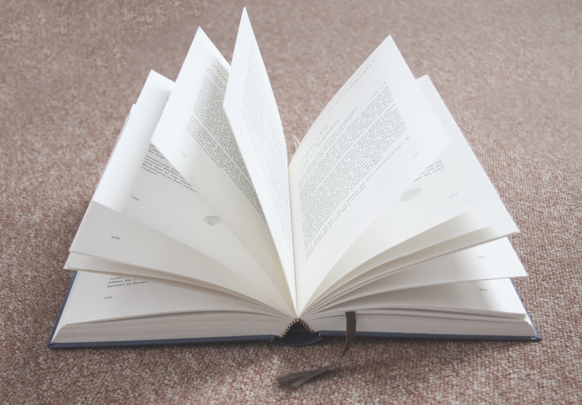 Lesemarathon: Ulrich Plenzdorf „Die neuen Leiden des jungen W.“