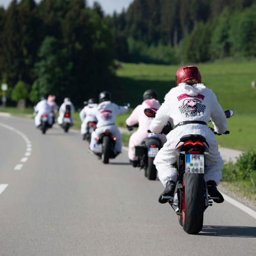 3. Allgäuer Bunny Run