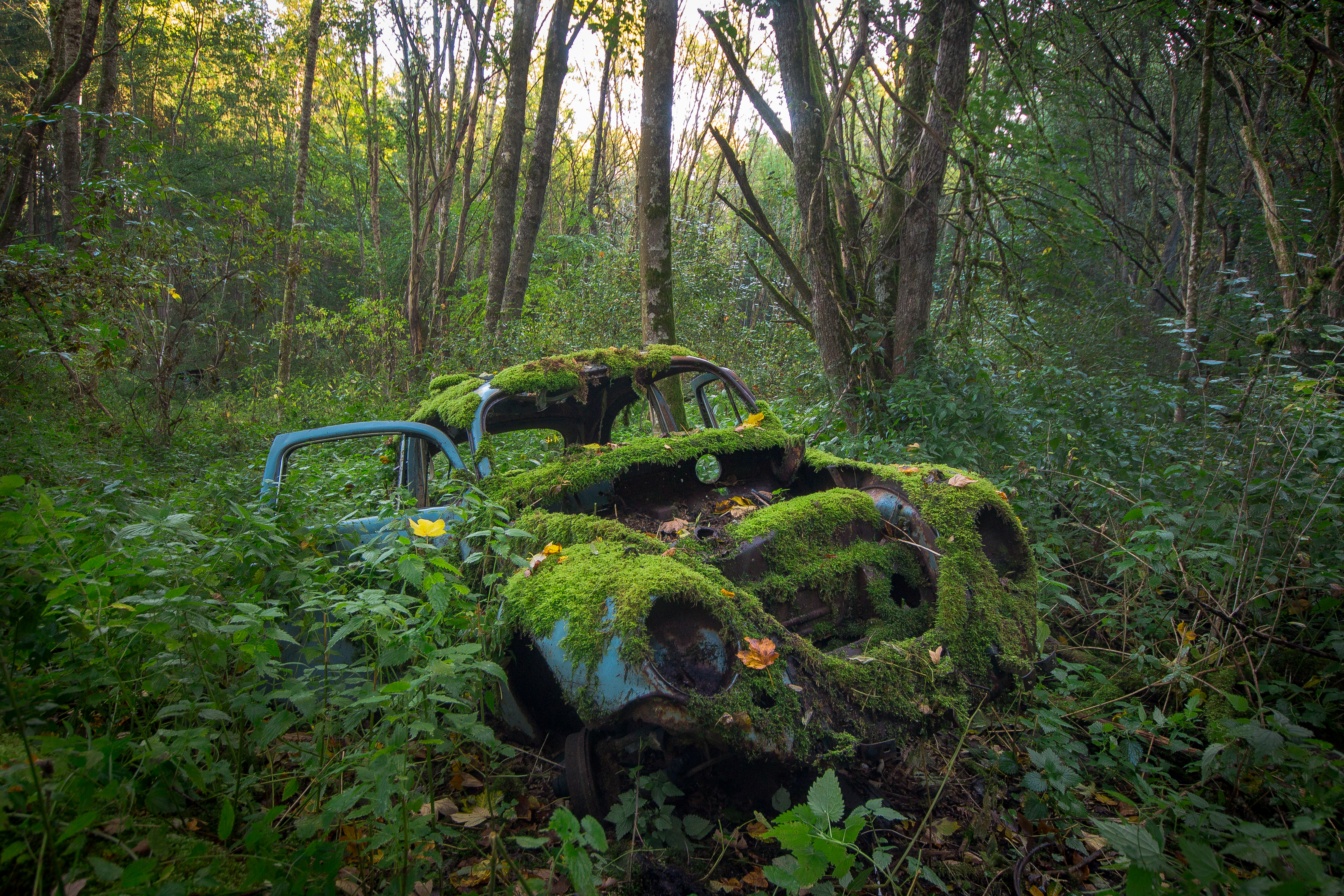 Ausstellung: Benjamin Seyfang „ZEITREISEN“