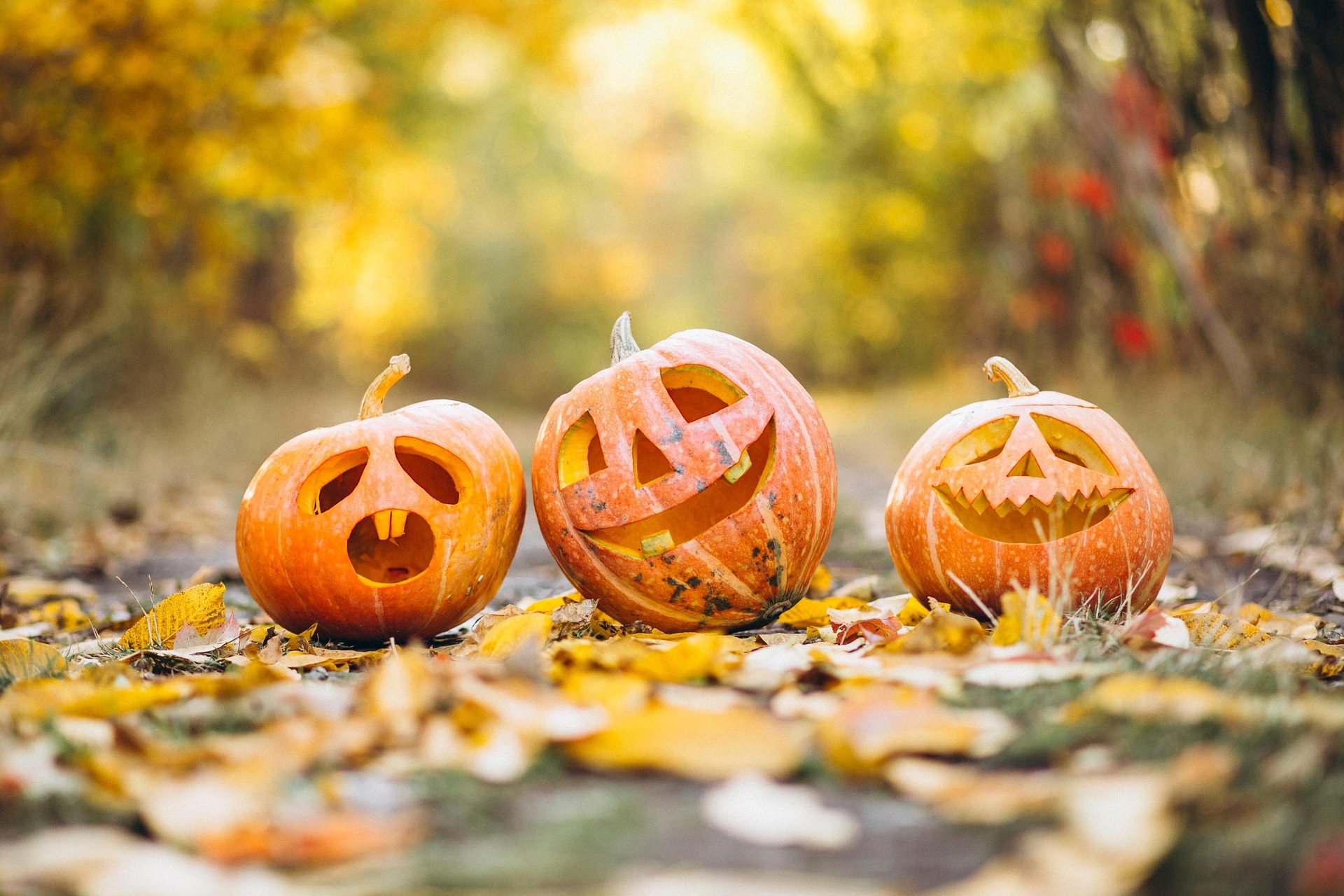 Kinderprogramm: Halloweenparty