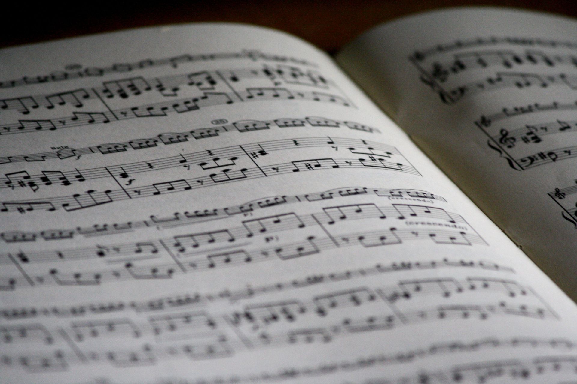 „Die Poesie von Popsongs und Balladen“