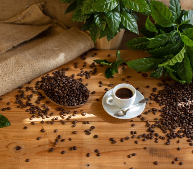 14:30 Uhr: Reise in die Welt des Kaffees