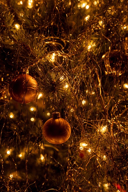 Memminger Christkindlesmarkt